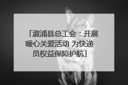 溆浦县总工会：开展暖心关爱活动 为快递员权益保障护航