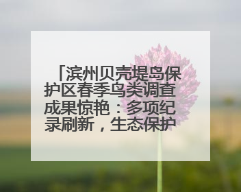 滨州贝壳堤岛保护区春季鸟类调查成果惊艳：多项纪录刷新，生态保护成效显著