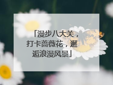 漫步八大关，打卡蔷薇花，邂逅浪漫风景