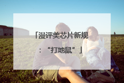 漫评美芯片新规：“打地鼠”