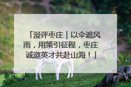 漫评枣庄｜以伞遮风雨，用策引征程，枣庄诚邀英才共赴山海！