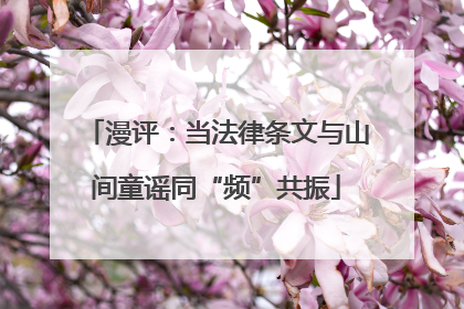 漫评：当法律条文与山间童谣同“频”共振