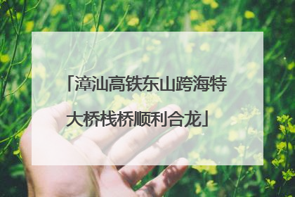 漳汕高铁东山跨海特大桥栈桥顺利合龙