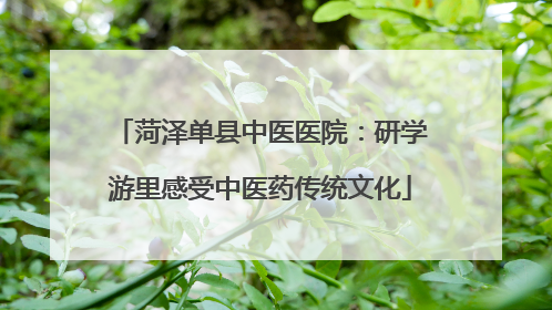菏泽单县中医医院：研学游里感受中医药传统文化