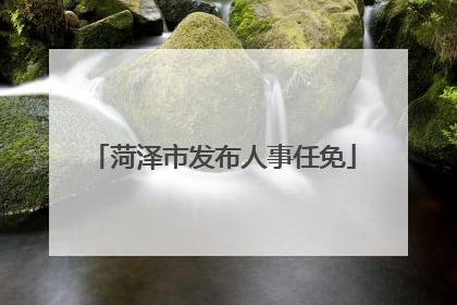 菏泽市发布人事任免