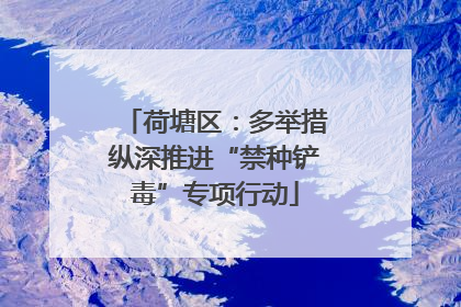 荷塘区：多举措纵深推进“禁种铲毒”专项行动