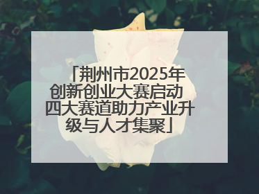 荆州市2025年创新创业大赛启动 四大赛道助力产业升级与人才集聚