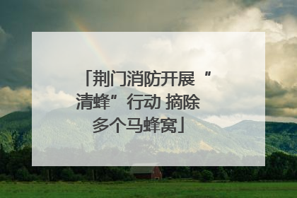 荆门消防开展“清蜂”行动 摘除多个马蜂窝
