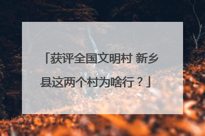 获评全国文明村 新乡县这两个村为啥行？