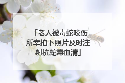 老人被毒蛇咬伤 所幸拍下照片及时注射抗蛇毒血清