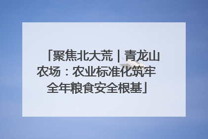 聚焦北大荒｜青龙山农场：农业标准化筑牢全年粮食安全根基