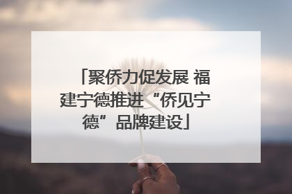聚侨力促发展 福建宁德推进“侨见宁德”品牌建设
