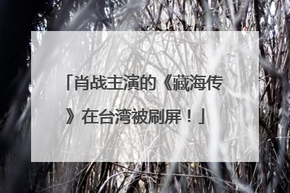 肖战主演的《藏海传》在台湾被刷屏！