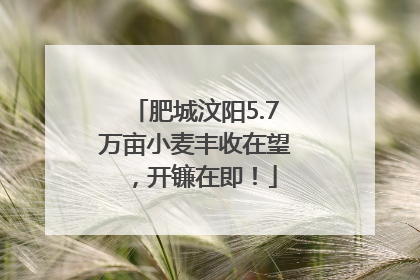 肥城汶阳5.7万亩小麦丰收在望，开镰在即！