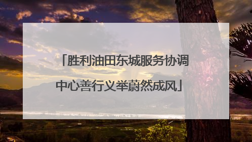 胜利油田东城服务协调中心善行义举蔚然成风