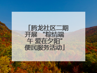 腾龙社区二期开展 “粽情端午 爱在夕阳”便民服务活动