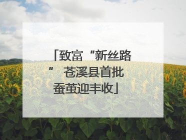 致富“新丝路” 苍溪县首批蚕茧迎丰收