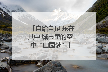 自给自足 乐在其中 城市里的空中“田园梦”
