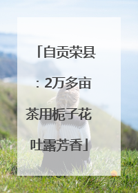自贡荣县：2万多亩茶用栀子花吐露芳香