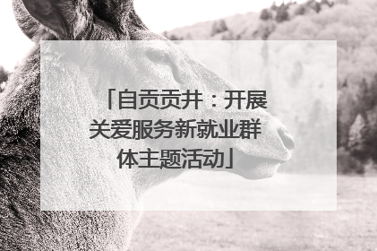 自贡贡井：开展关爱服务新就业群体主题活动