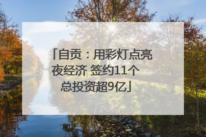 自贡：用彩灯点亮夜经济 签约11个总投资超9亿