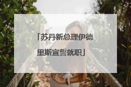 苏丹新总理伊德里斯宣誓就职
