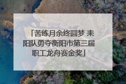 苦练月余终圆梦 耒阳队勇夺衡阳市第三届职工龙舟赛金奖