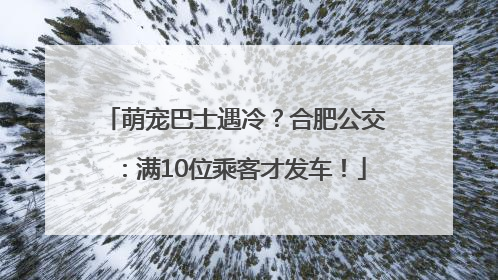 萌宠巴士遇冷？合肥公交：满10位乘客才发车！