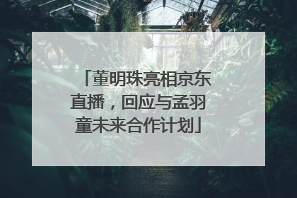 董明珠亮相京东直播，回应与孟羽童未来合作计划