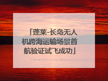 蓬莱-长岛无人机跨海运输场景首航验证试飞成功