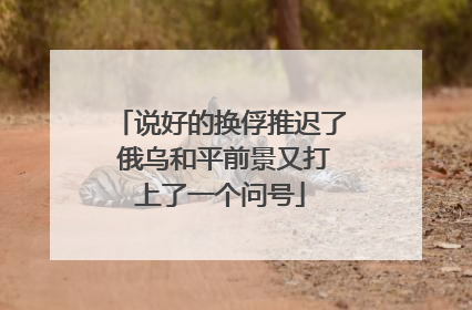说好的换俘推迟了 俄乌和平前景又打上了一个问号