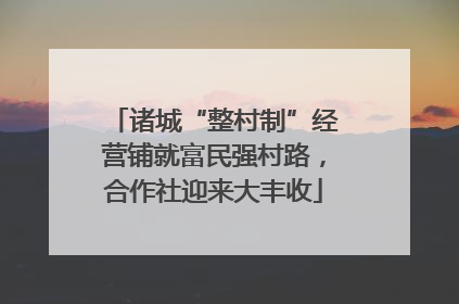 诸城“整村制”经营铺就富民强村路，合作社迎来大丰收