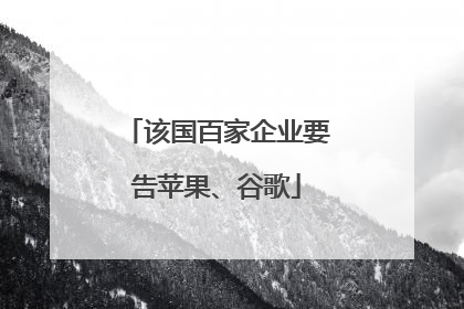 该国百家企业要告苹果、谷歌