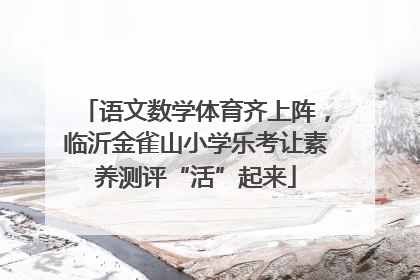 语文数学体育齐上阵，临沂金雀山小学乐考让素养测评“活”起来