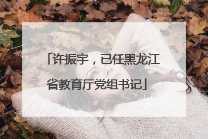 许振宇，已任黑龙江省教育厅党组书记