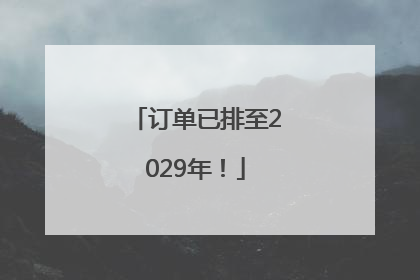 订单已排至2029年！