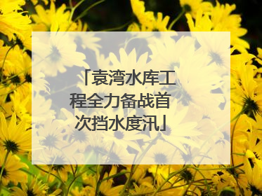 袁湾水库工程全力备战首次挡水度汛