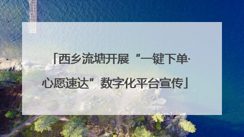 西乡流塘开展“一键下单·心愿速达”数字化平台宣传
