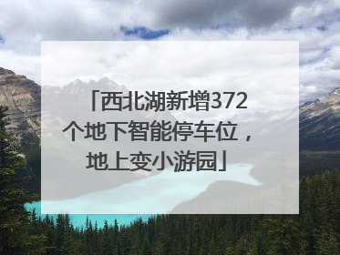 西北湖新增372个地下智能停车位，地上变小游园