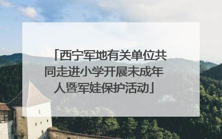 西宁军地有关单位共同走进小学开展未成年人暨军娃保护活动