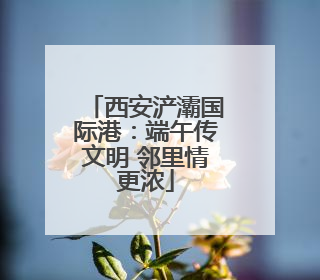 西安浐灞国际港：端午传文明 邻里情更浓