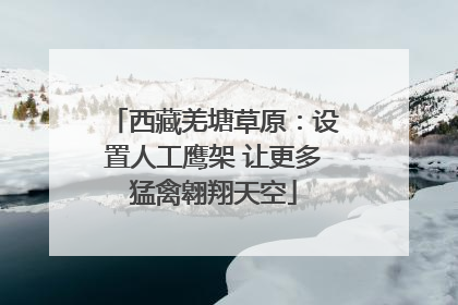 西藏羌塘草原：设置人工鹰架 让更多猛禽翱翔天空