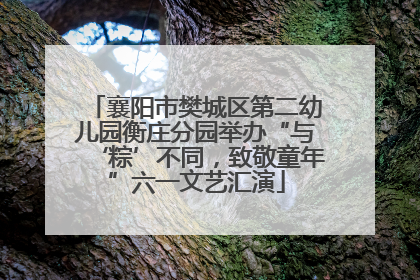 襄阳市樊城区第二幼儿园衡庄分园举办“与‘粽’不同，致敬童年”六一文艺汇演