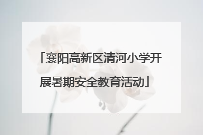 襄阳高新区清河小学开展暑期安全教育活动