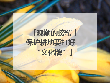 观潮的螃蟹丨保护耕地要打好“文化牌”