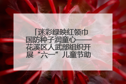 迷彩绿映红领巾 国防种子润童心——花溪区人武部组织开展“六一”儿童节助学兴教活动