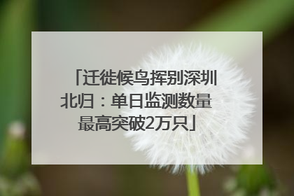 迁徙候鸟挥别深圳北归：单日监测数量最高突破2万只