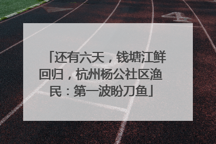 还有六天，钱塘江鲜回归，杭州杨公社区渔民：第一波盼刀鱼