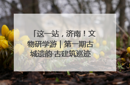 这一站，济南！文物研学游｜第一期古城遗韵·古建筑巡迹之旅圆满结束