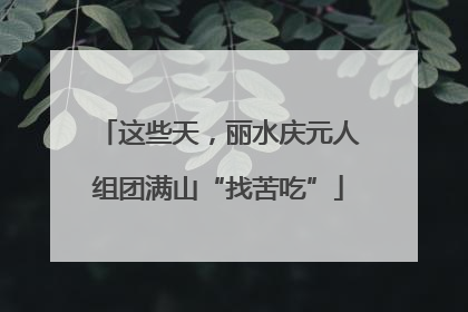 这些天，丽水庆元人组团满山“找苦吃”